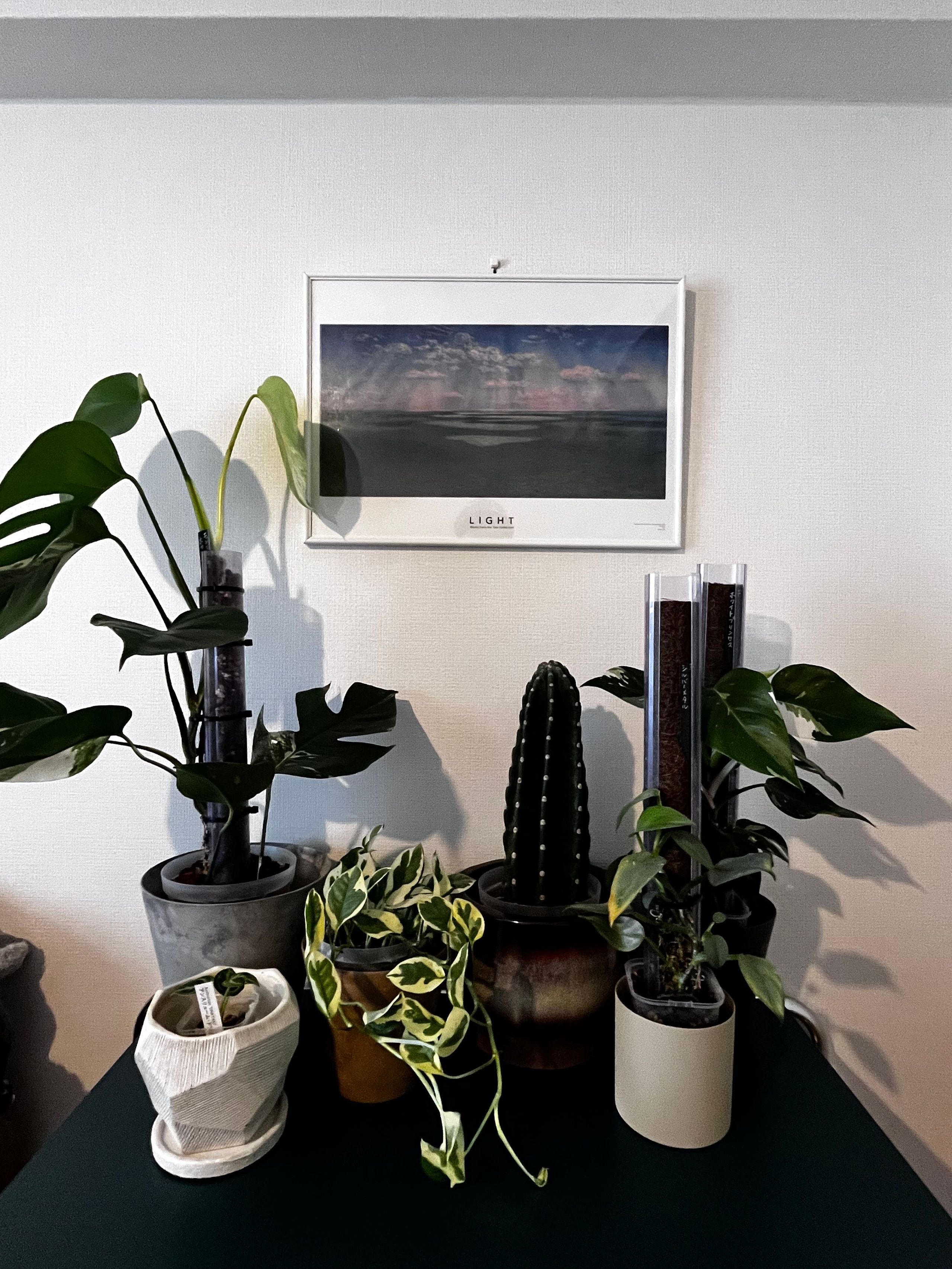 MID-CENTURY ダイニングテーブル 80cm［5色］| Ohouse(オー