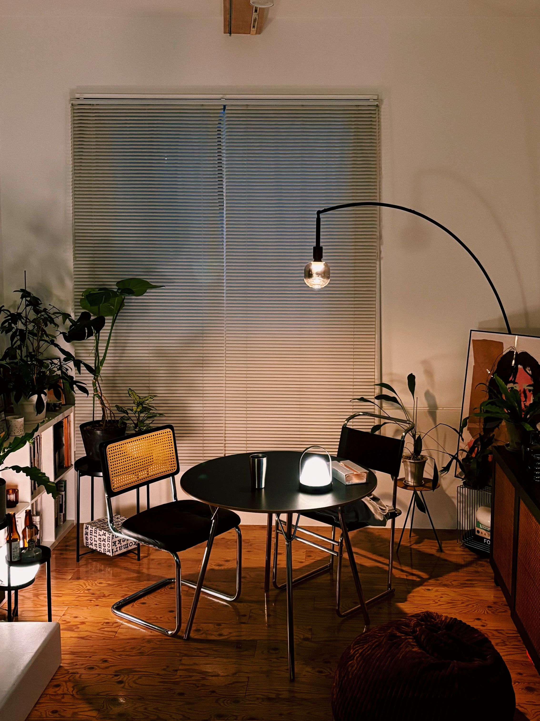 IKEA SKOTTORP スコットルプ / SKAFTET スカフテート フロアランプ