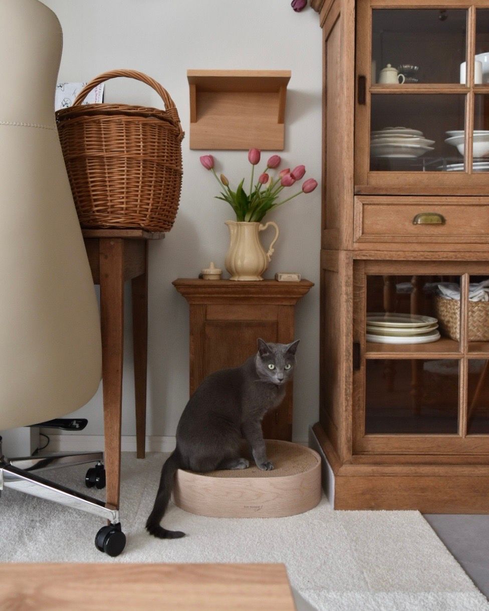 無印良品 壁に付けられる家具猫用ステップ オーク材突板 | ペット