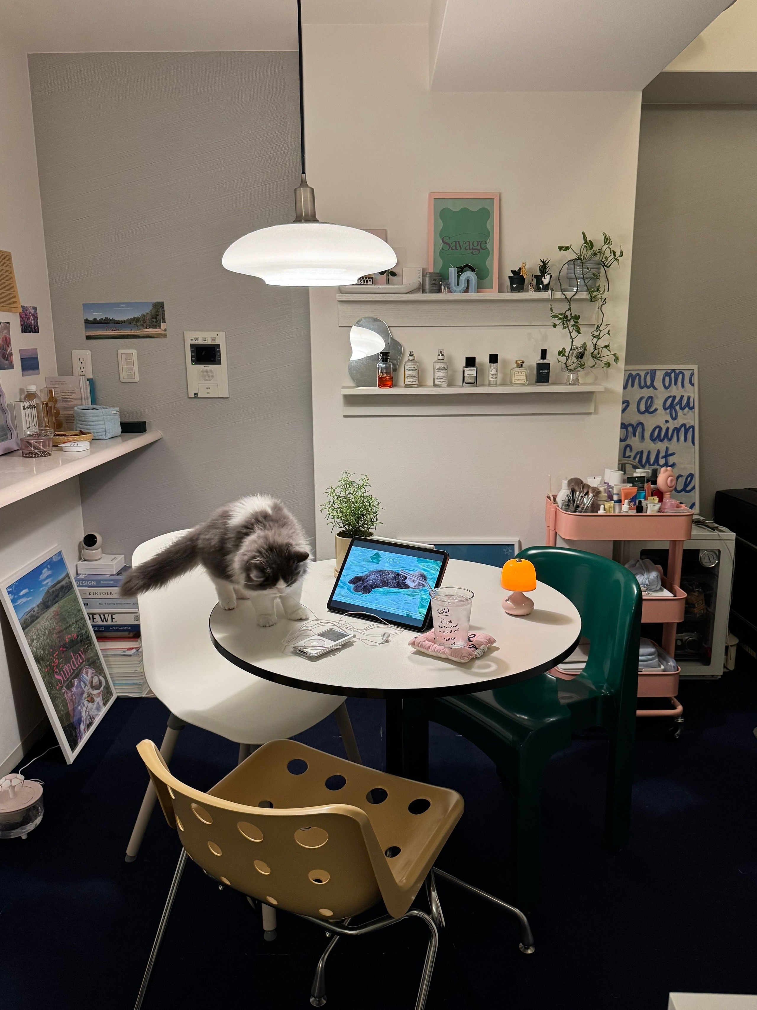 専用部屋 Explore enk_room's space
