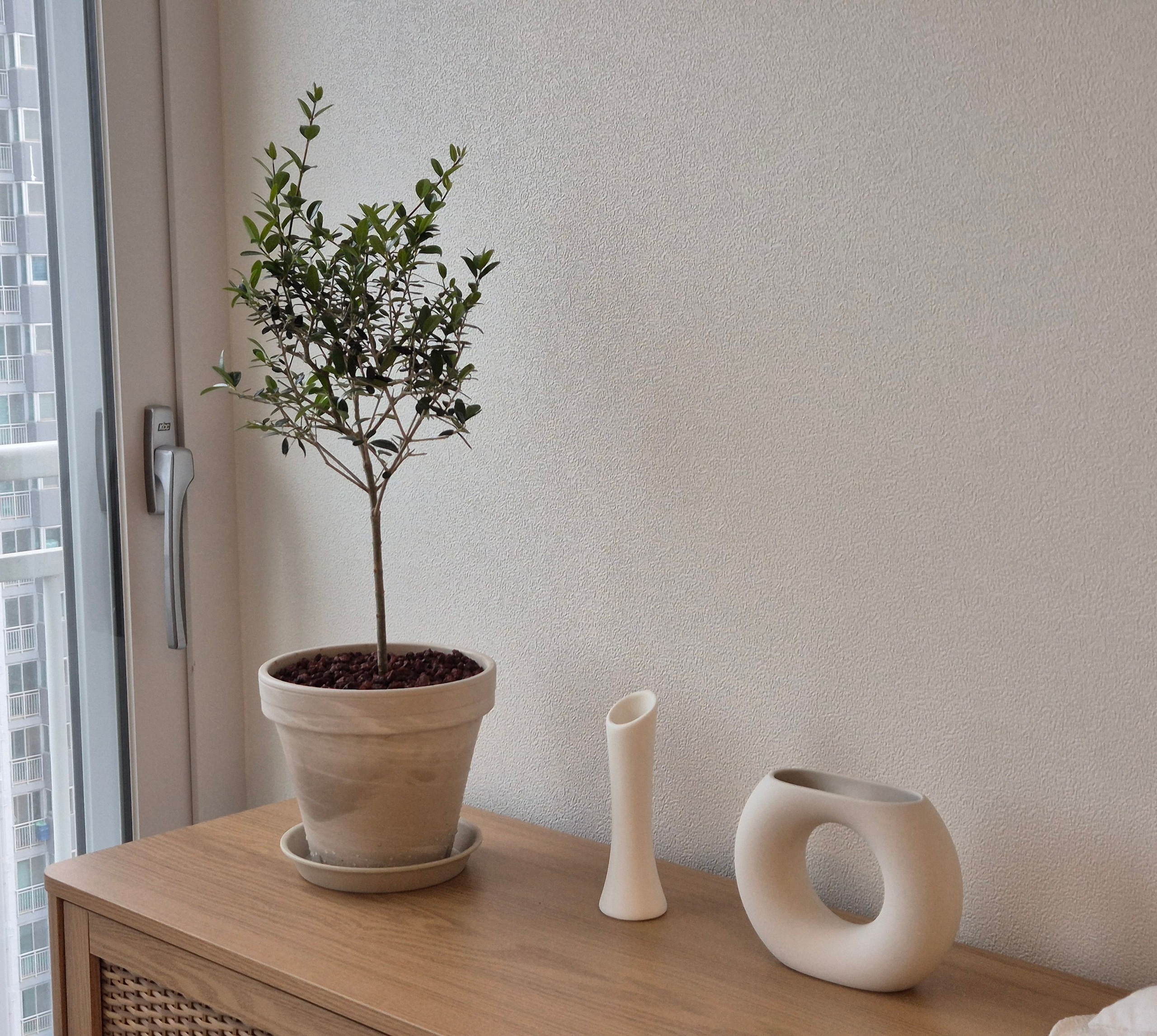 Natural Carved Ceramic Vase user photo