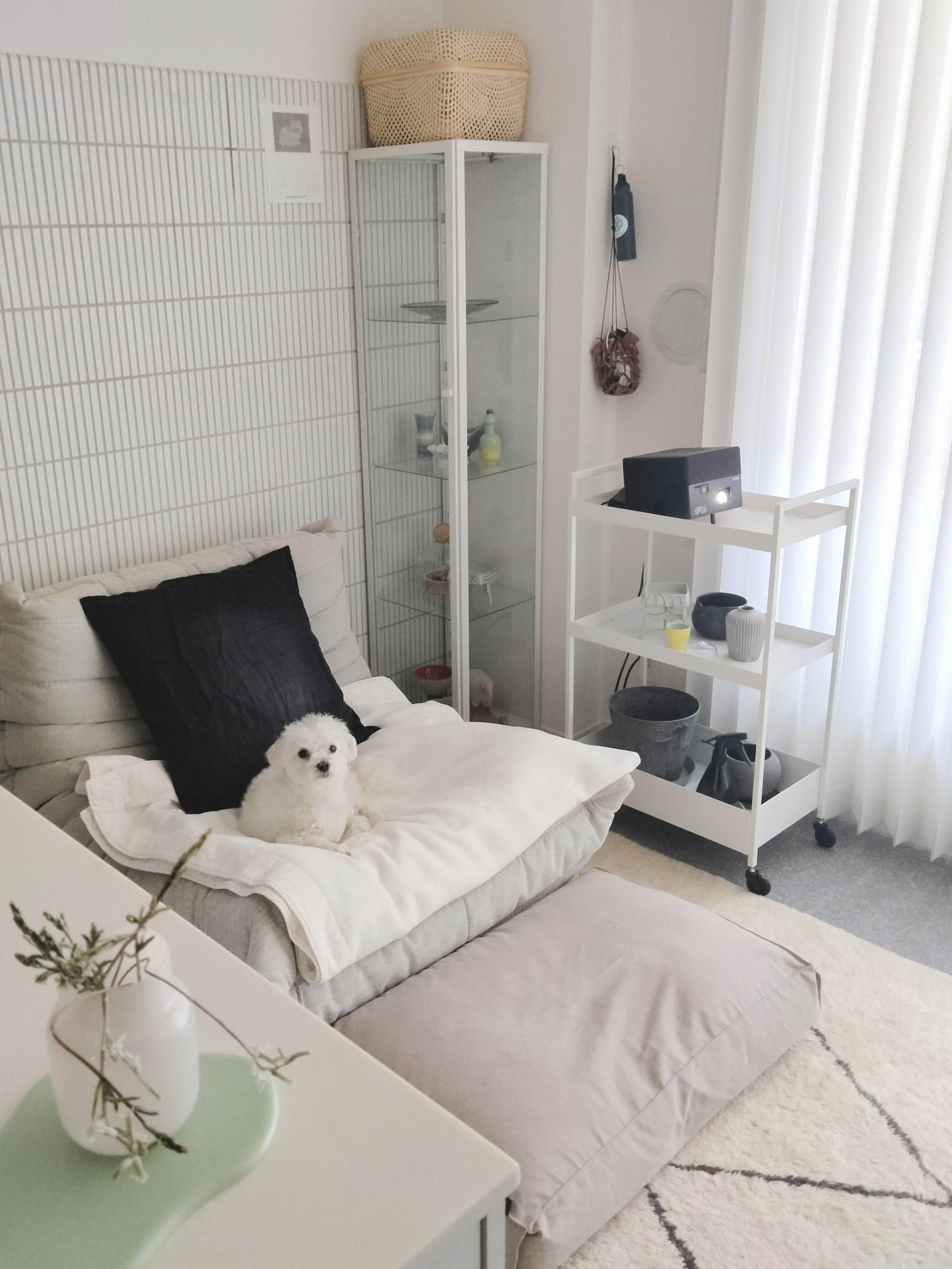 ◆ IKEA BLÅLIDEN ブローリーデン 2台 コレクションケース 白 黒 BLÅLIDEN ブローリーデン コレクションケース, ブラック
