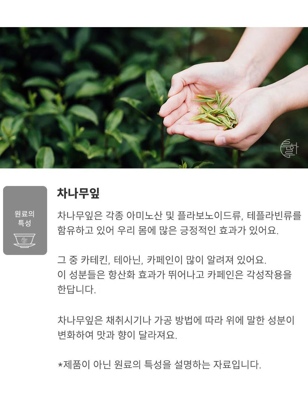 찻잎·티백·분말 > 루하루 순수 하동 어린잎 잭살차 30g | 오늘의집 쇼핑