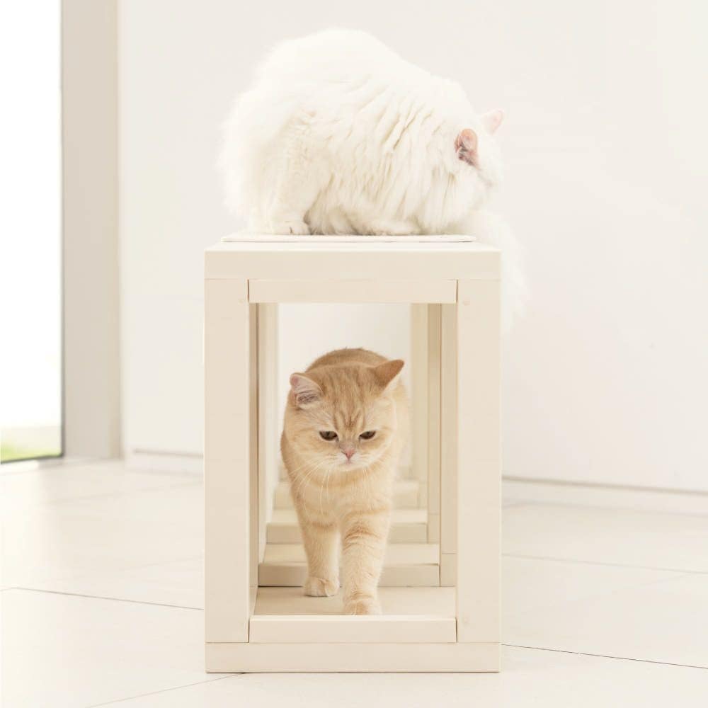 キャットタワー Emu.Ti CUBICS pet テレビ台兼キャットタワー 3x1［7色］ 高さ 42cm 幅 120cm
