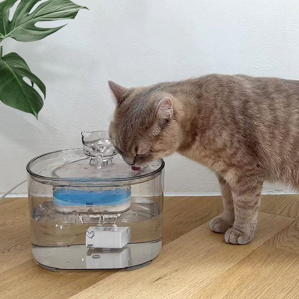 보드미펫 모션센서 고양이 강아지 정수기 자동급수기 시즌2
