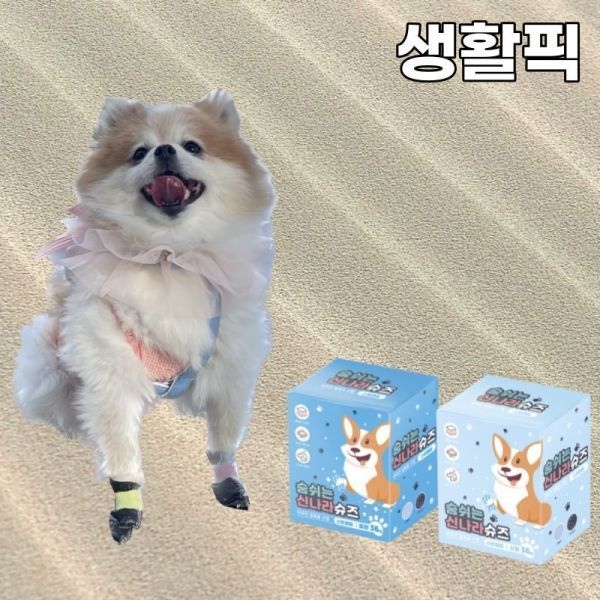 강아지신발 강아지양말 일회용 여름 산책 애견신발