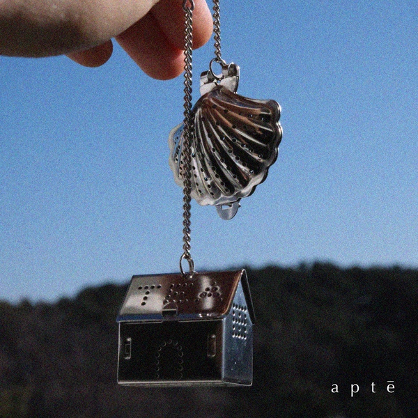 스테인리스 티 스트레이너 Stainless tea strainer