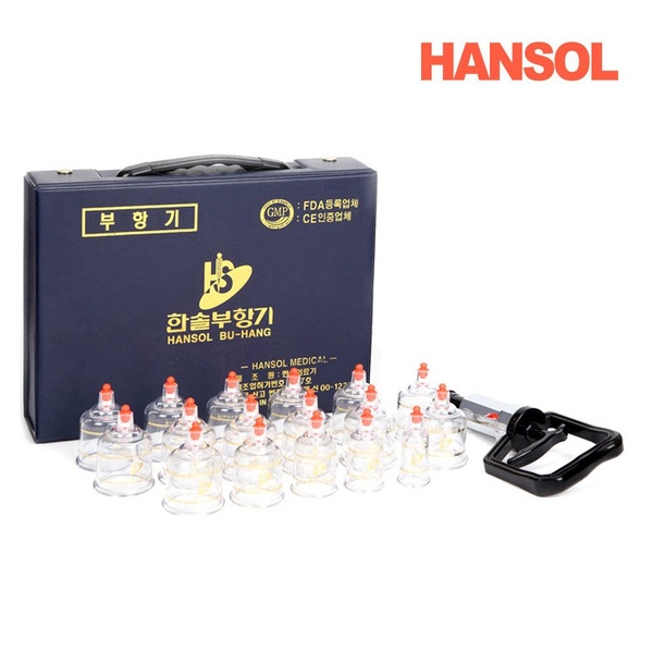 한솔의료기 한솔부항기 17컵+부항펌프 사혈기 채혈침 세트 부항 부황기 다양한 부항용품