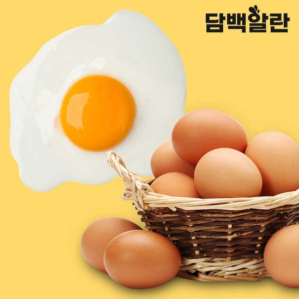 무항생제 1+ 등급란 특란 (20구 / 40구 / 60구)