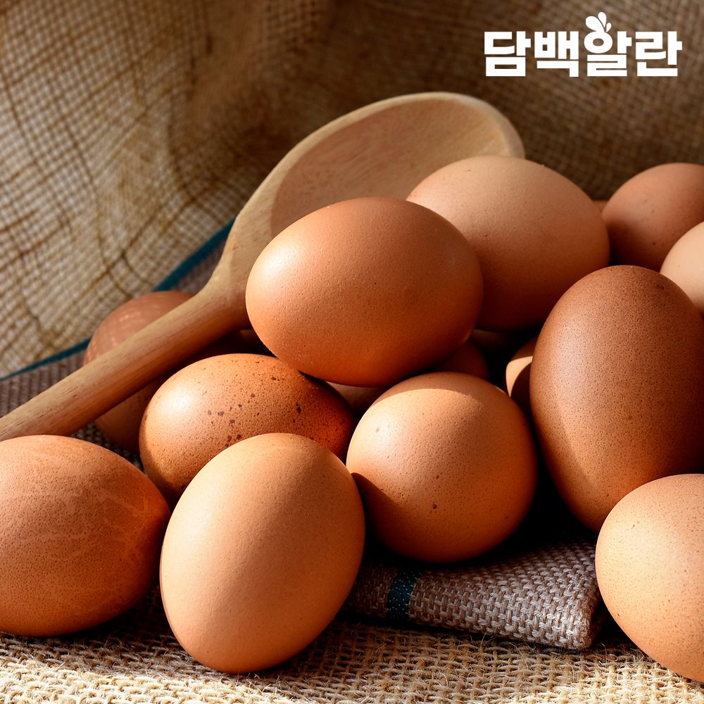 동물복지 유정란 (20구 / 40구 / 60구) 가격 추이 담백알란 동물복지 유정란 (20구 / 40구 / 60구) - 최저가 13,900원