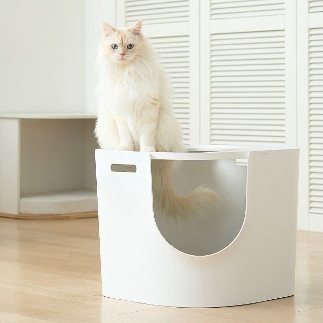 오늘의집 두잇 고양이 화장실 푸푸박스 투웨이