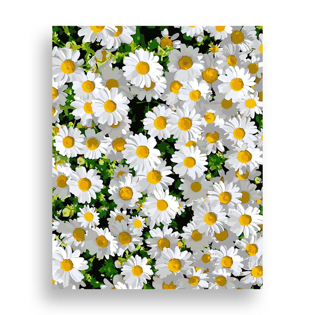 오늘의집 위메이크페인팅 DIY 명화그리기 데이지 40x50