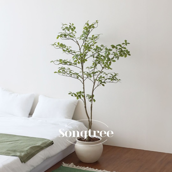 산철쭉 잎 조화나무 2-size