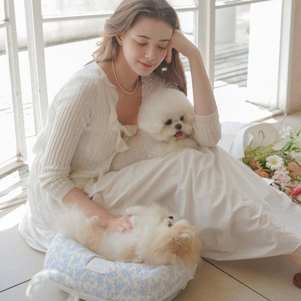 포그니 아토백 강아지이동가방 기내용 슬링백 포대기 시즌2