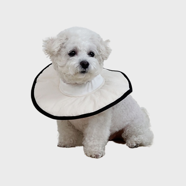 강아지고양이 가벼운넥카라 코지가드