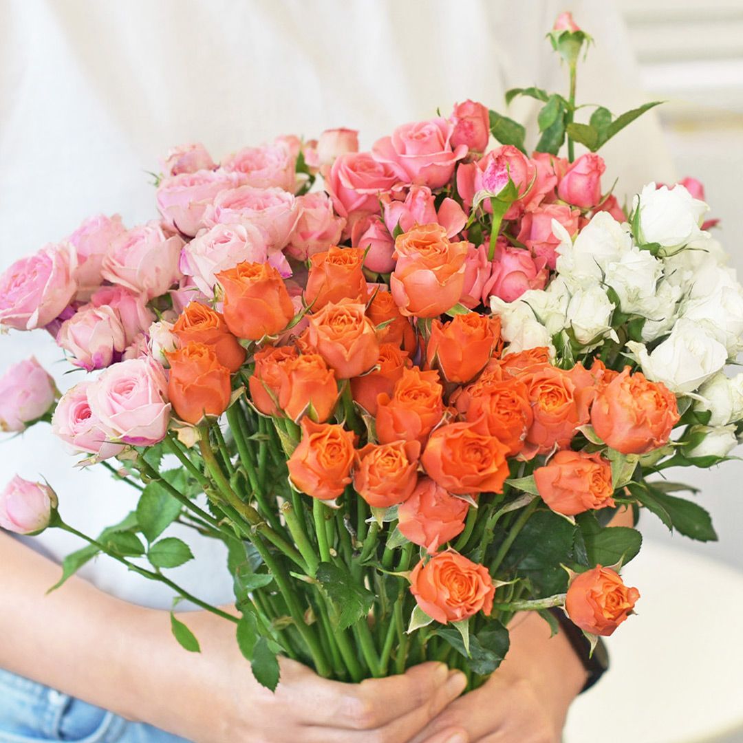 오늘의집 마이플랜트 미니 장미 생화 한단 오래가는꽃 꽃선물 화병 포장 경매 꽃배달 정기구독