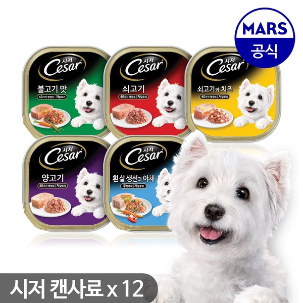 시저 강아지 주식캔 100g x12개