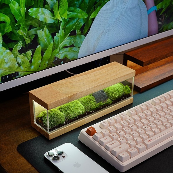 데스크테리어 원목 테라리움 무드등 터치 조명 DIY
