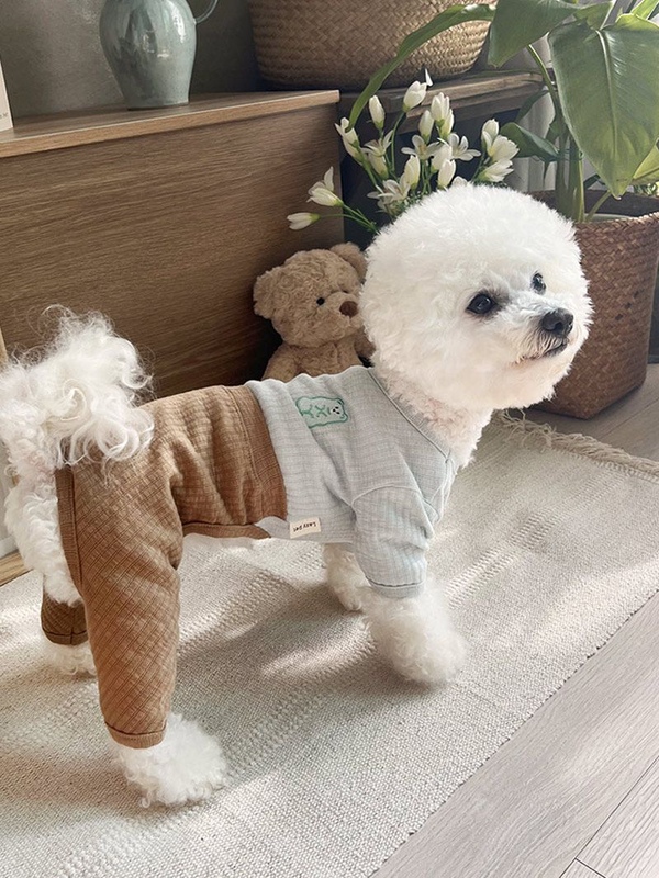 강아지 올인원 곰배색 골지 투피스 바지 가을 겨울 강아지옷 S