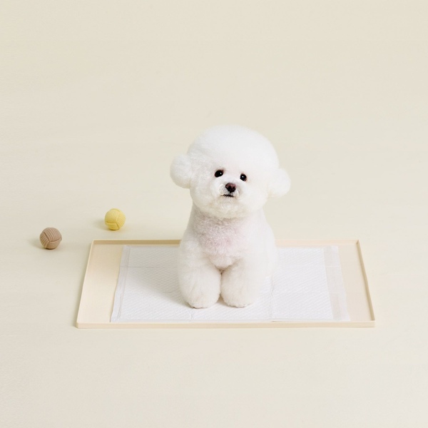 강아지 배변매트 도트 실리콘 배변판 식기매트 2size 2colors