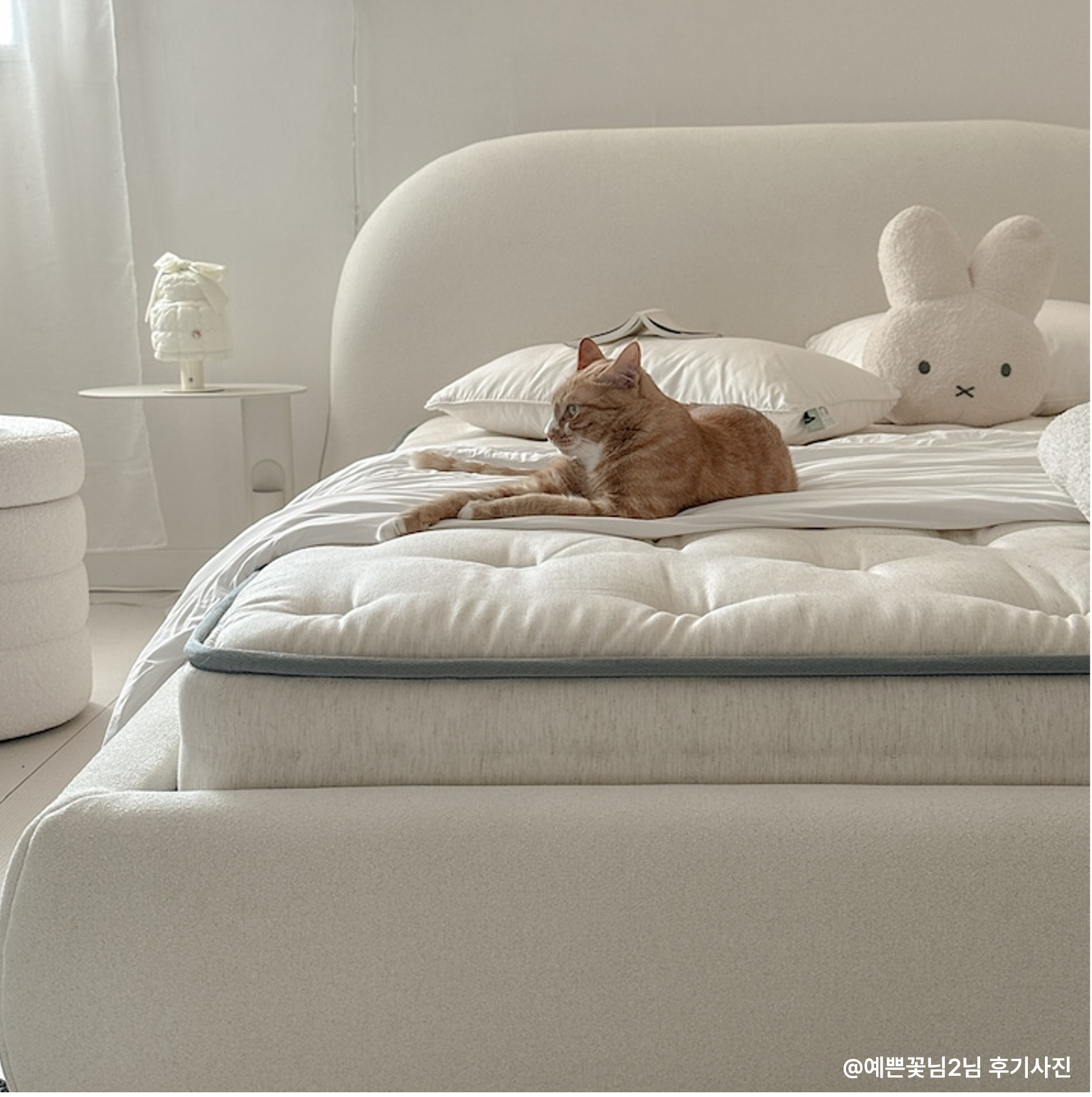오늘의집 까사미아 마테라소 포레스트 릴리 매트리스 SS/Q