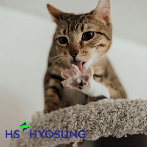 HS효성스완카페트 타일카페트 국산카페트 셀프인테리어 DIY 난방효과