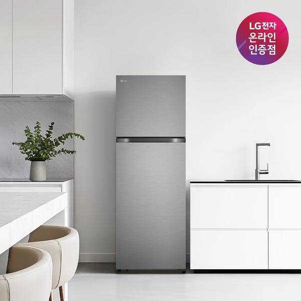 LG 일반냉장고 B245DS22 241L