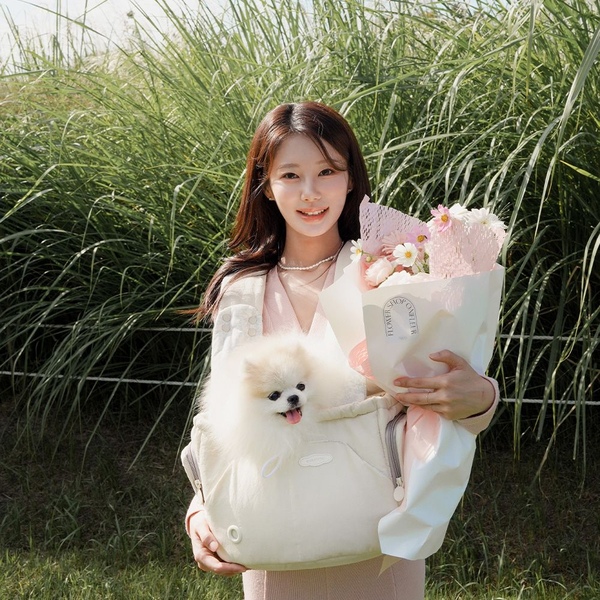 바비스영 품에 쏙 이동가방 베베백