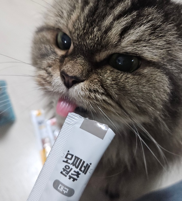 원츄 고양이 짜먹는 간식 에너g스틱 15X30P
