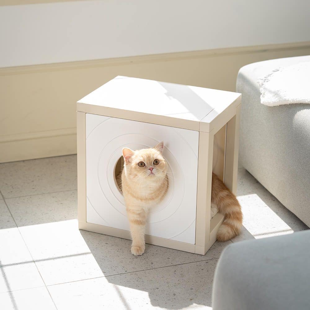 CUBICS pet 猫用ハウス 1x1［7色］ 高さ 42cm 完了 コンテンポラリー