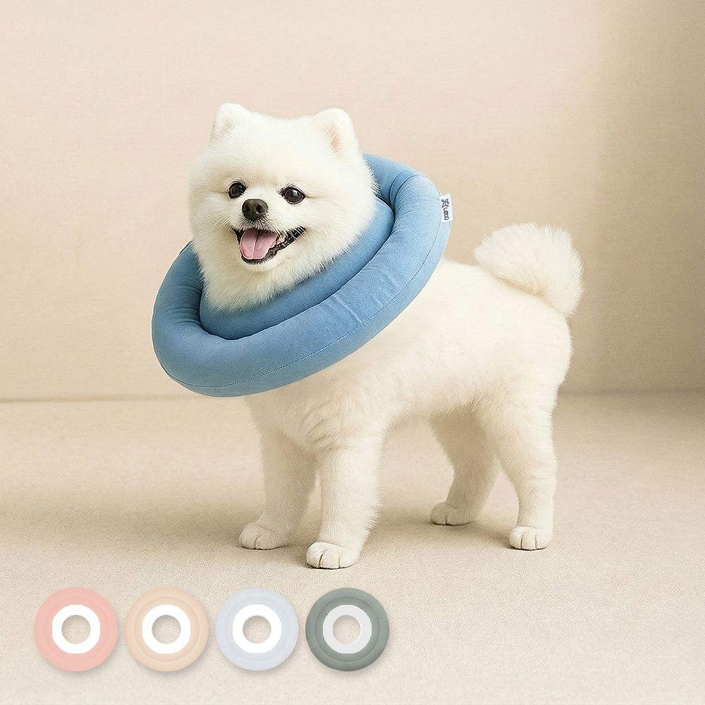 오늘의집 레토 강아지 고양이 넥카라 방수 초경량 대형견 소형견