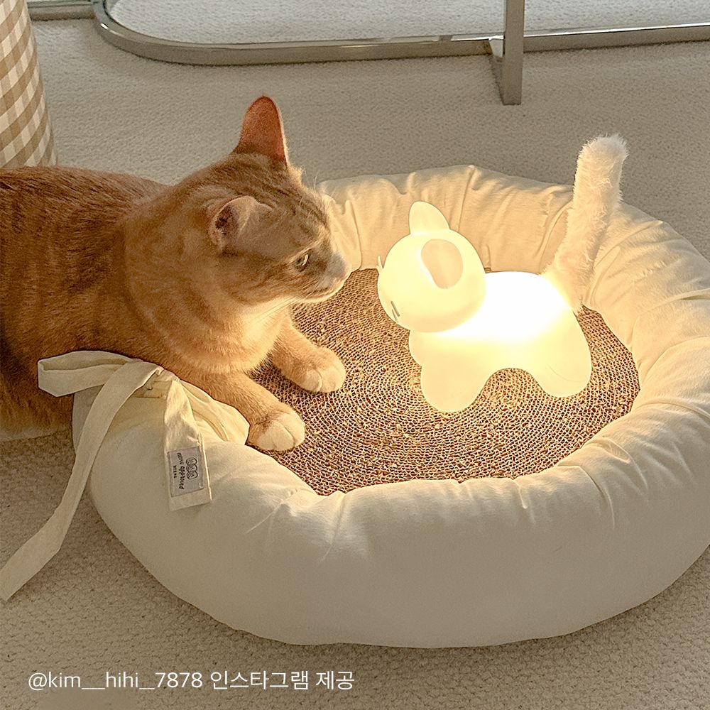 모노스마일 젤리냥이 치즈냥이 무드등 고양이 무선 조명