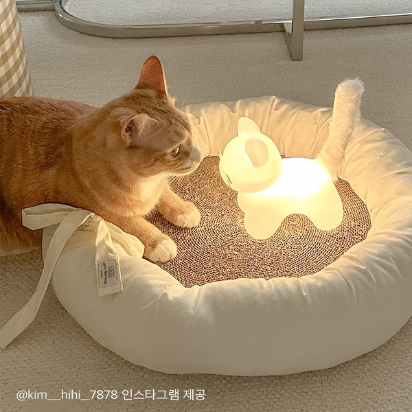 젤리냥이 치즈냥이 무드등 고양이 무선 조명