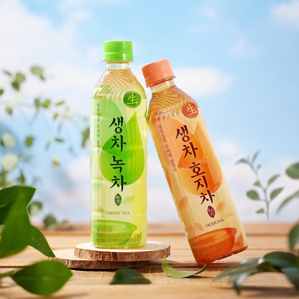[12+12] 생찻잎의 깔끔함! 생차 녹차/호지차 500mL 2종 골라담기