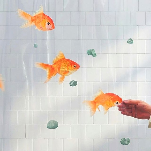금붕어 방수 샤워커튼(커튼링 포함) 안티곰팡이 욕실 세탁실 방수커튼