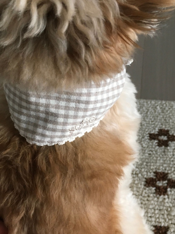 small bandana - beige check (2 size)