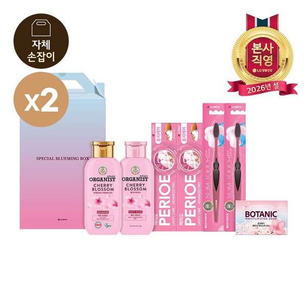 LG설선물세트 스페셜 블루밍박스P호x2개