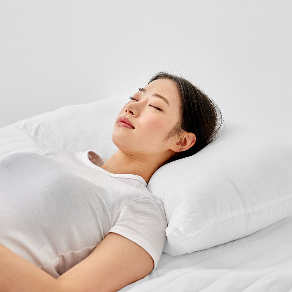 구름 지퍼형 베개솜 2sizes 가격 비교 클리티룸 구름 지퍼형 베개솜 2sizes
