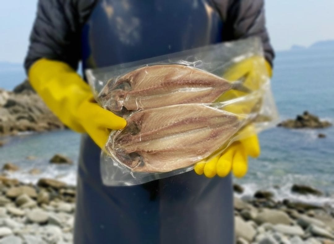국내산 청정제주 손질고등어 2미 250g~400g 가격 추이 황금어장 국내산 청정제주 손질고등어 2미 250g~400g - 최저가 11,186원