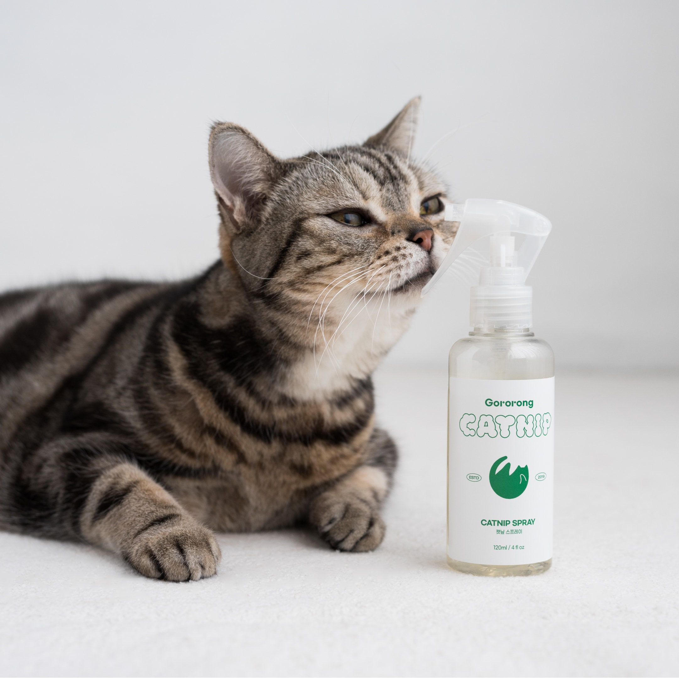 오늘의집 고로롱 고양이 스크래쳐 고양이용품 뿌리는 캣닢 스프레이(120ml 1~2개월분)