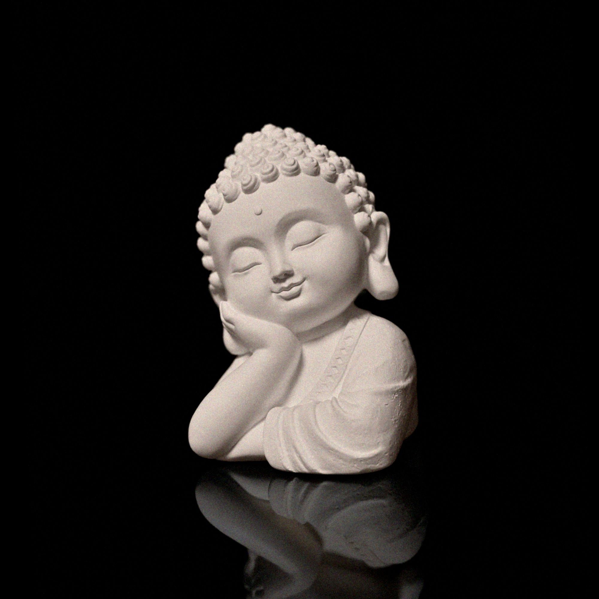 Shanti 가격 추이 포지맨션 Shanti - 최저가 12,800원
