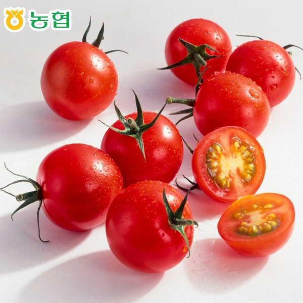 [농협직송] 스테비아 방울토마토 1kg / 2kg 로얄과 산지 당일수확