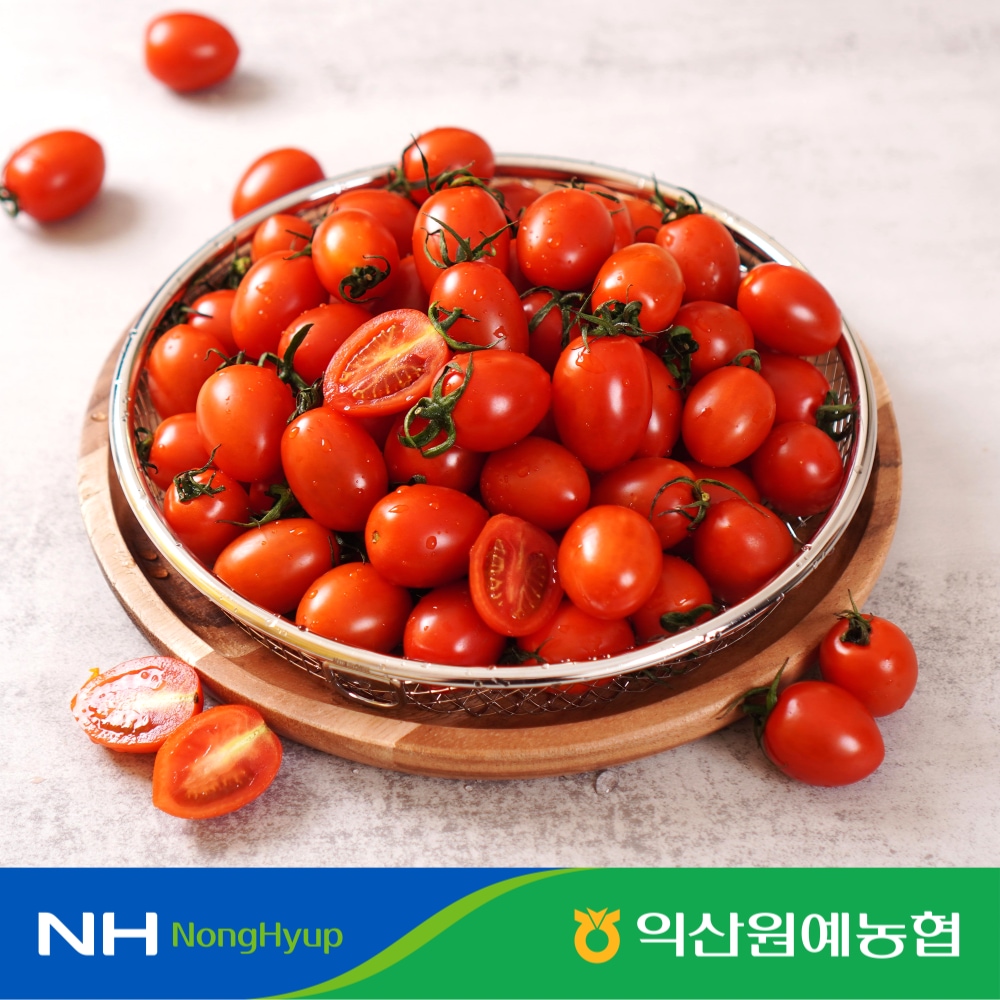 오늘의집 품질보장 대추방울토마토 2kg 실중량 / 신선하게 선별