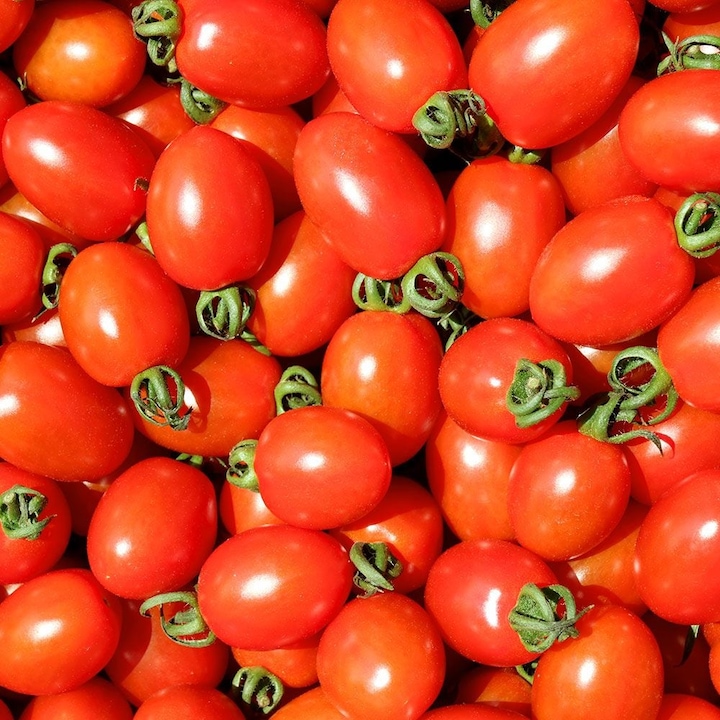 [오늘의집] 이프레시 [산지직송] 싱싱탱탱 대추방울토마토 2kg 로얄과 / 실중량 품질엄선