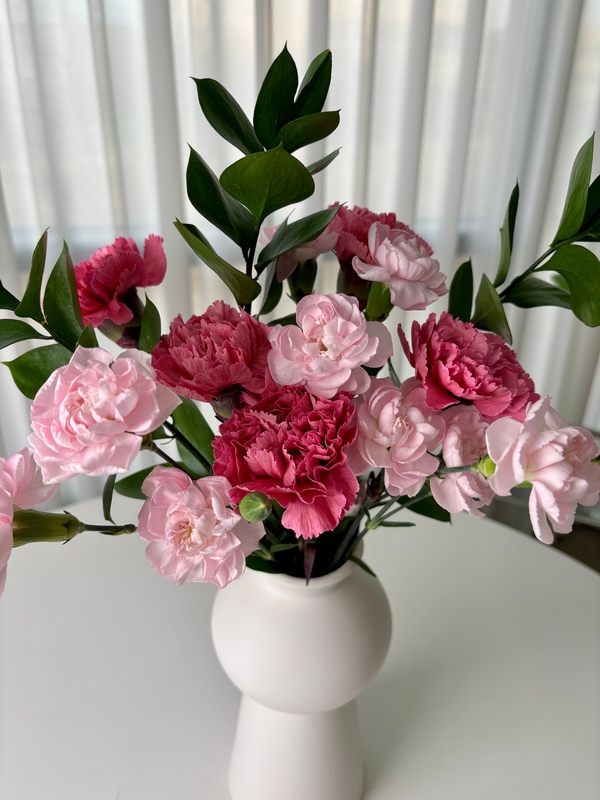 가정의달 카네이션 꽃다발 중형 생화 랜덤색상