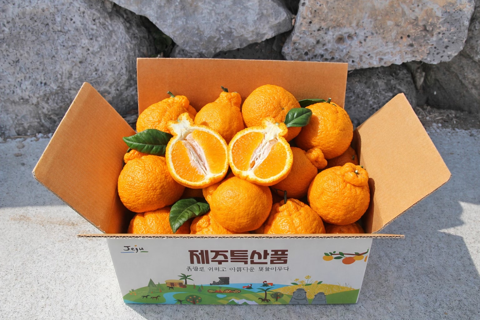 천하일품 감귤농장 고당도 한라봉 2kg 중소과 외 천혜향 / 레드향 / 2개구매시 4.5kg발송