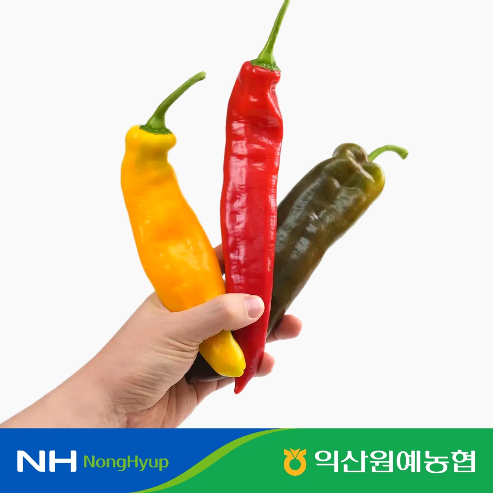 오늘의집 농협 오아로 트리벨리 파프리카 1.2kg 특품 외 일반 파프리카 2kg 산지직송