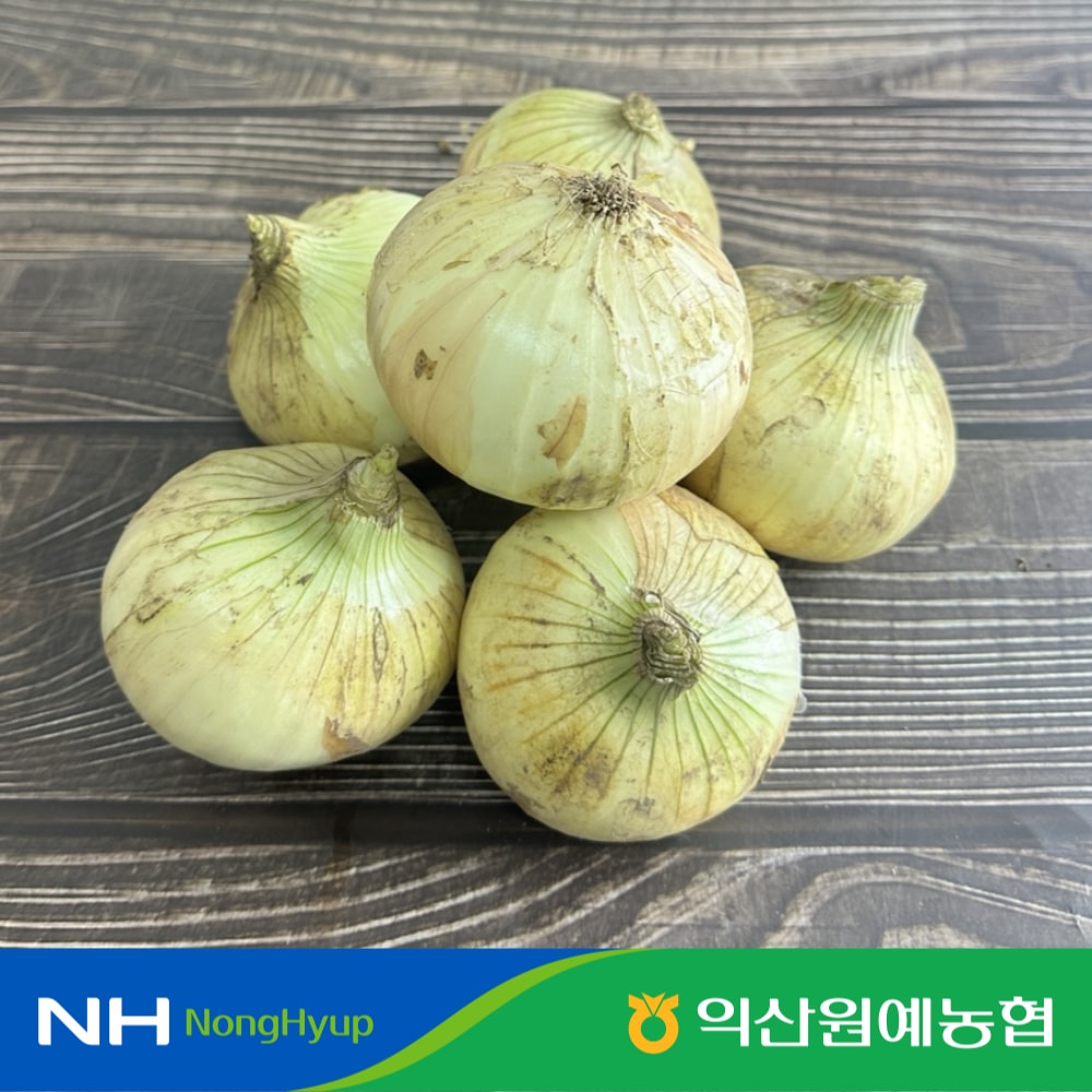 오늘의집 농협 산지에서 바로오는 국내산 햇 양파 3kg / 5kg