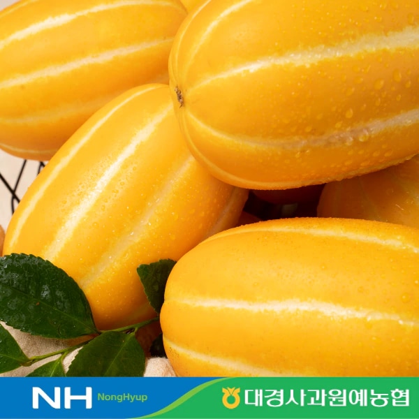오늘의집 농협 산지직송 성주 꿀 참외 2kg 로얄과 가정용 / 정품