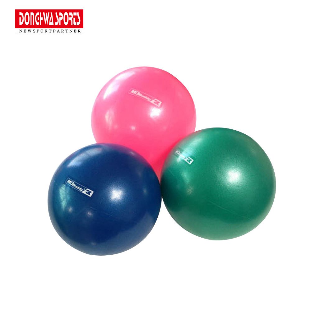 MD Buddy 미니짐볼 25cm 요가 필라테스볼 - 최저가 3,500원